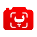 ایبو
